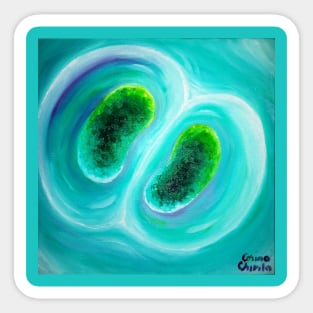 cyanobacteria dividing cells Sticker